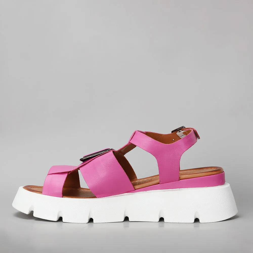 HINDI - Hot Pink