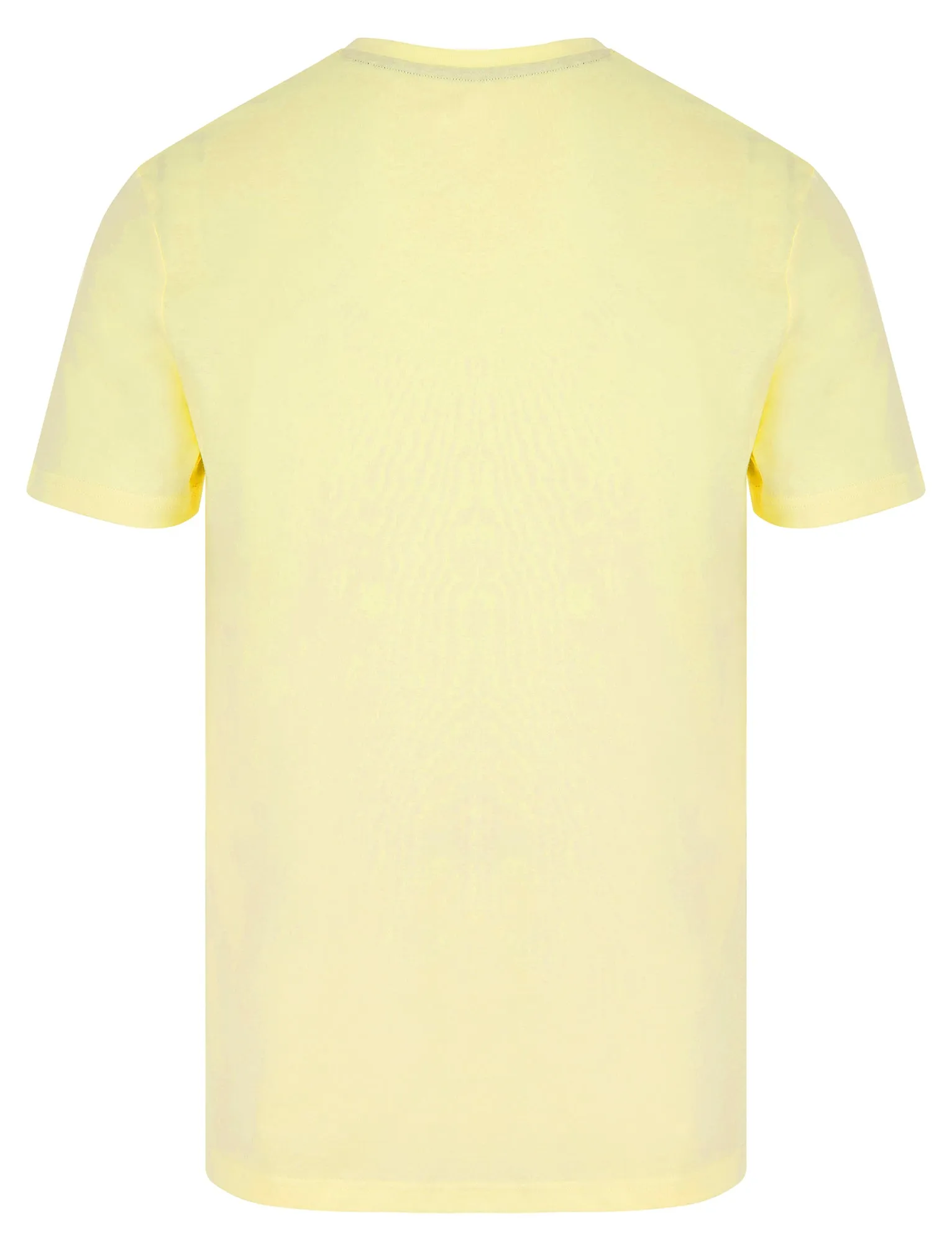 Surf Sil Motif Cotton Jersey T-Shirt in Transparent Yellow - South Shore